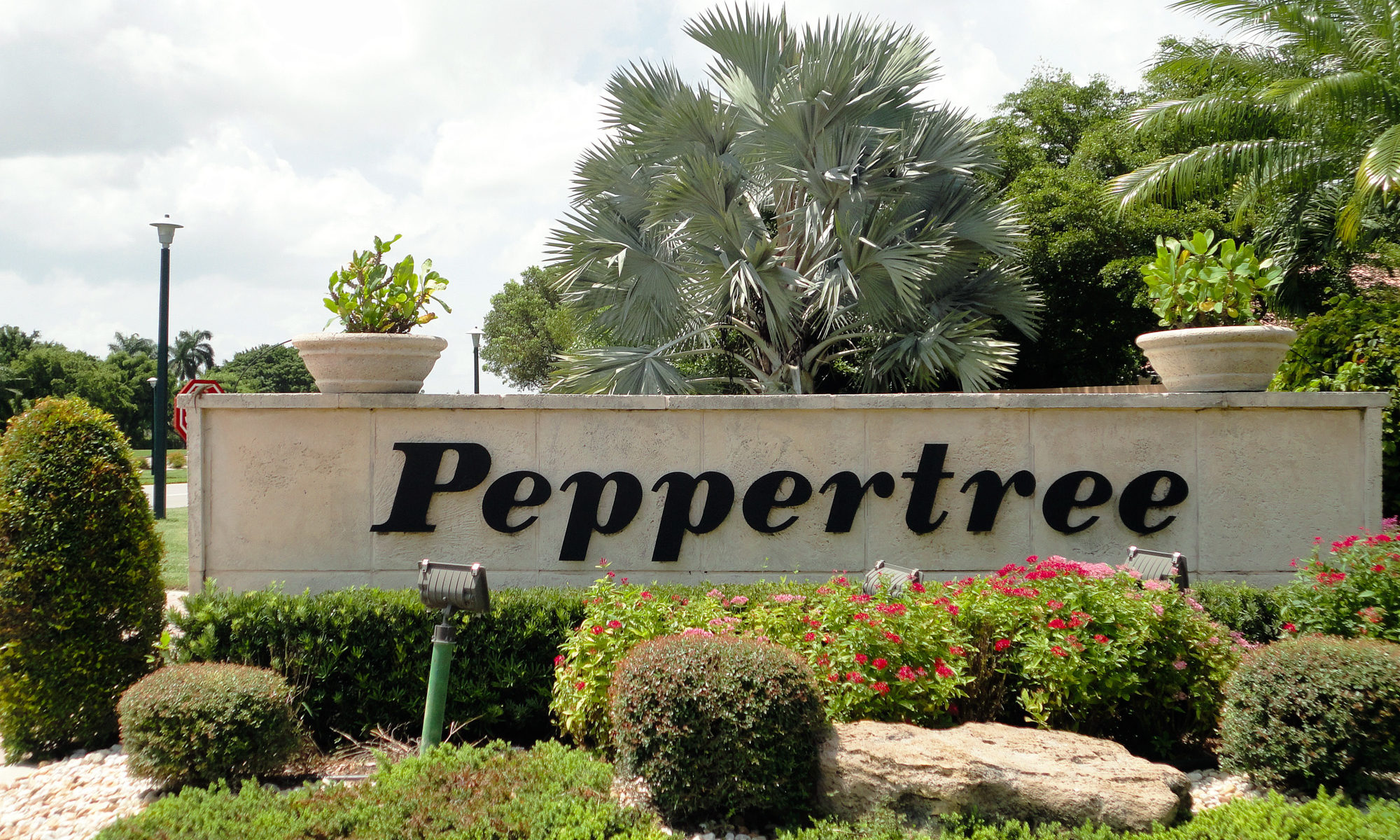 Peppertree Boca Raton 3 Homes for Sale Echo Fine Properties
