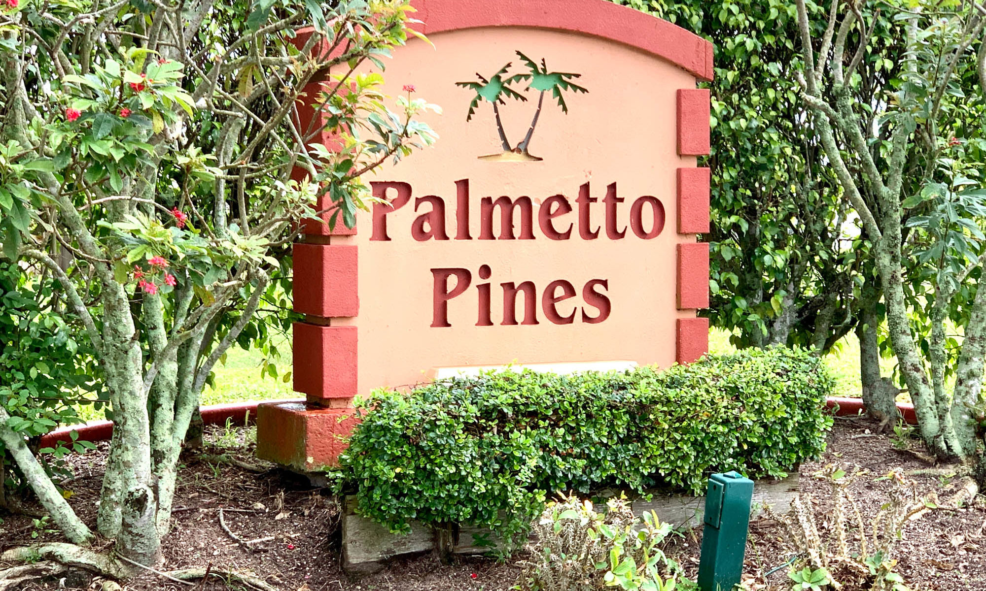 Palmetto Pines Boca Raton 13 Homes for Sale | Echo Fine Properties
