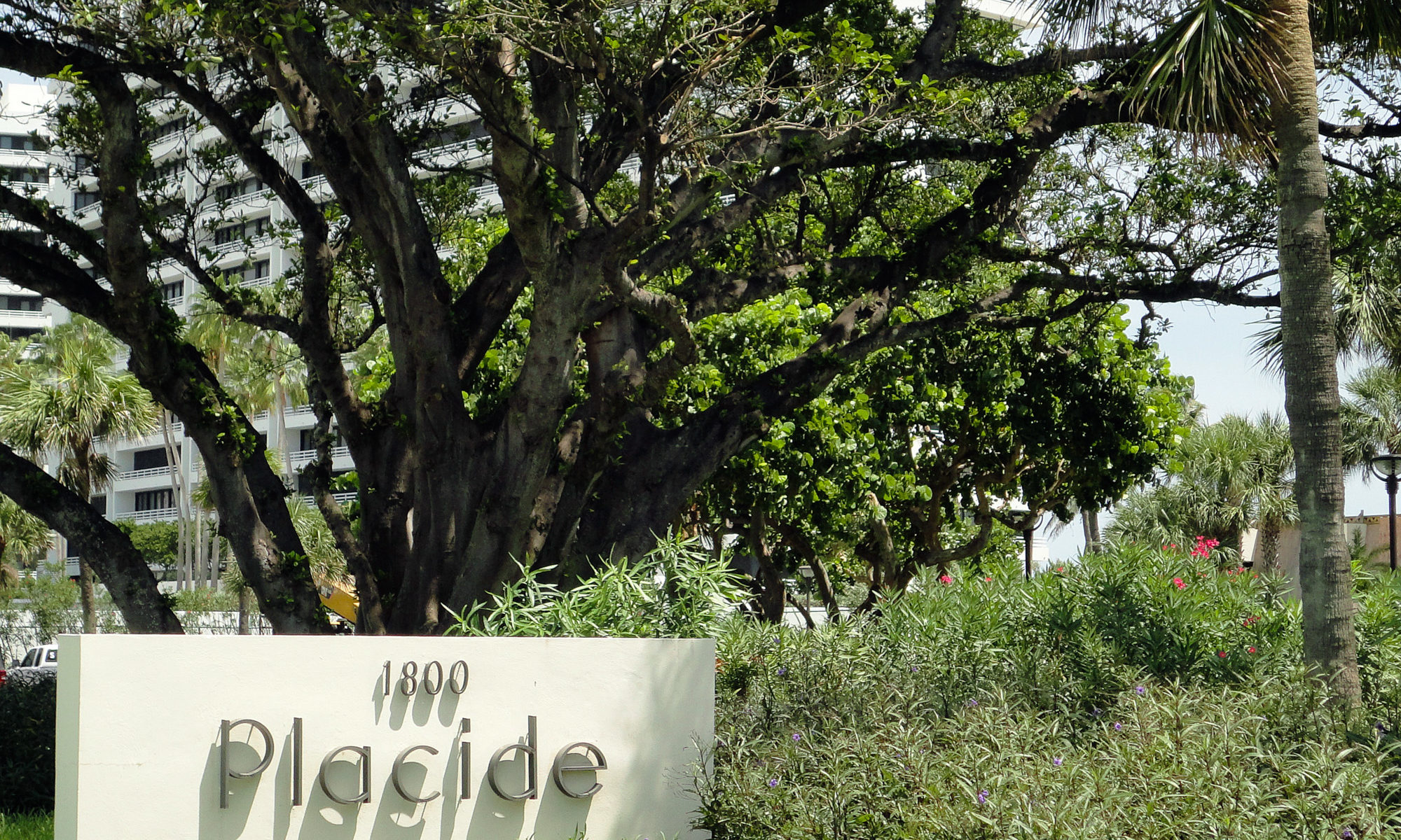 Placide Boca Raton Echo Fine Properties