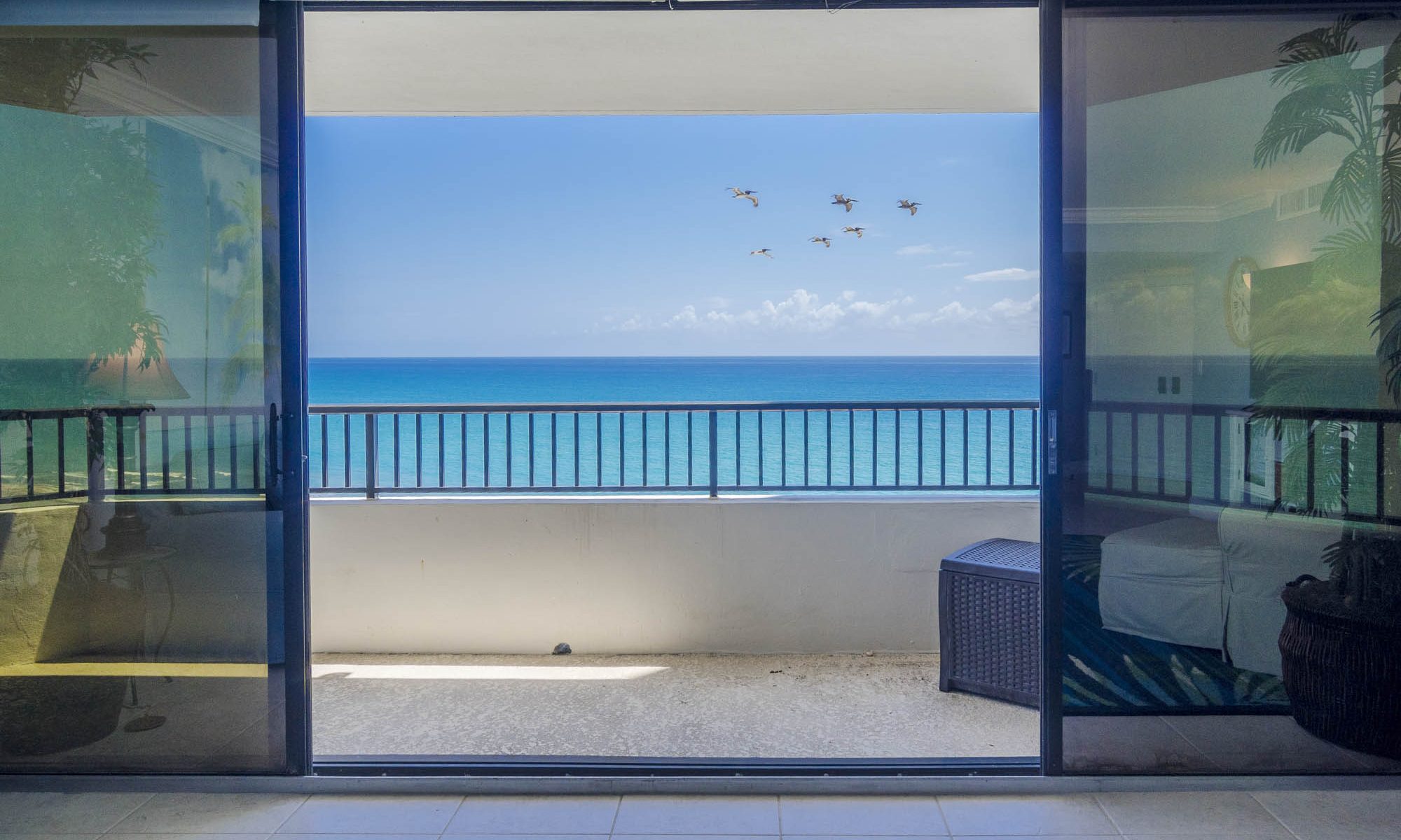 Getting to Know Echo Fine Properties Real Estate Agent Alexandria Fish!