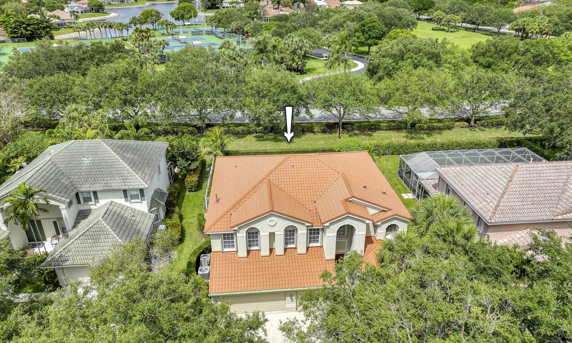 Local Waves Jupiter Acupuncture Echo Fine Properties